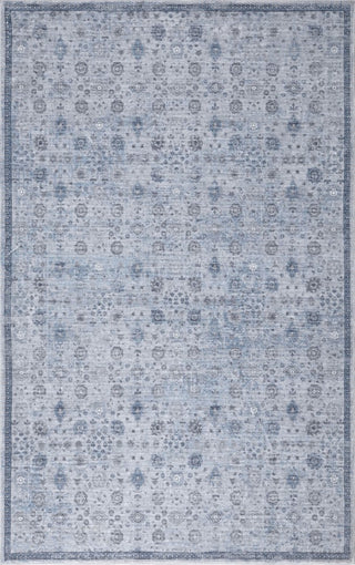 Petunia Distressed All-over Floral Border Non-slip Machine-washable Area Rug