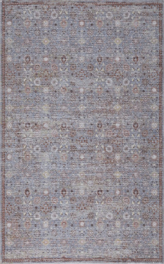 Petunia Distressed All-over Floral Border Non-slip Machine-washable Area Rug