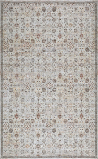 Petunia Distressed All-over Floral Border Non-slip Machine-washable Area Rug