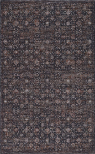 Petunia Distressed All-over Floral Border Non-slip Machine-washable Area Rug