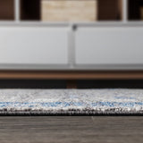 Anatolia Vintage Medallion Area Rug