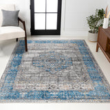 Anatolia Vintage Medallion Area Rug
