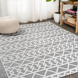 Aylan High-low Pile Knotted Trellis Geometric Indoor/outdoor Area Rug