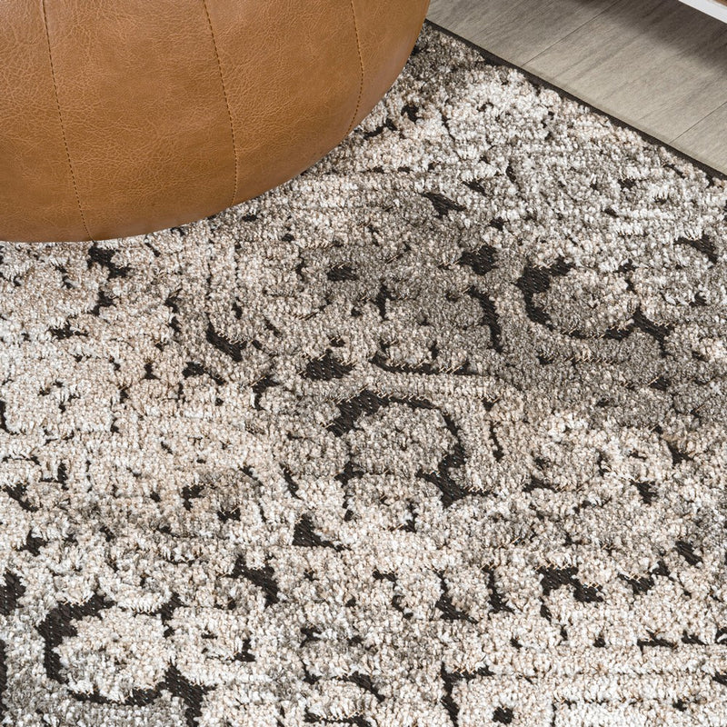 Duenas High-low Shabby Damask Area Rug