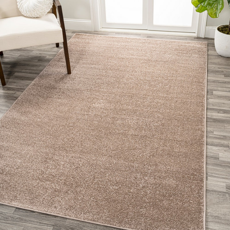 Indoor Rugs collection banner
