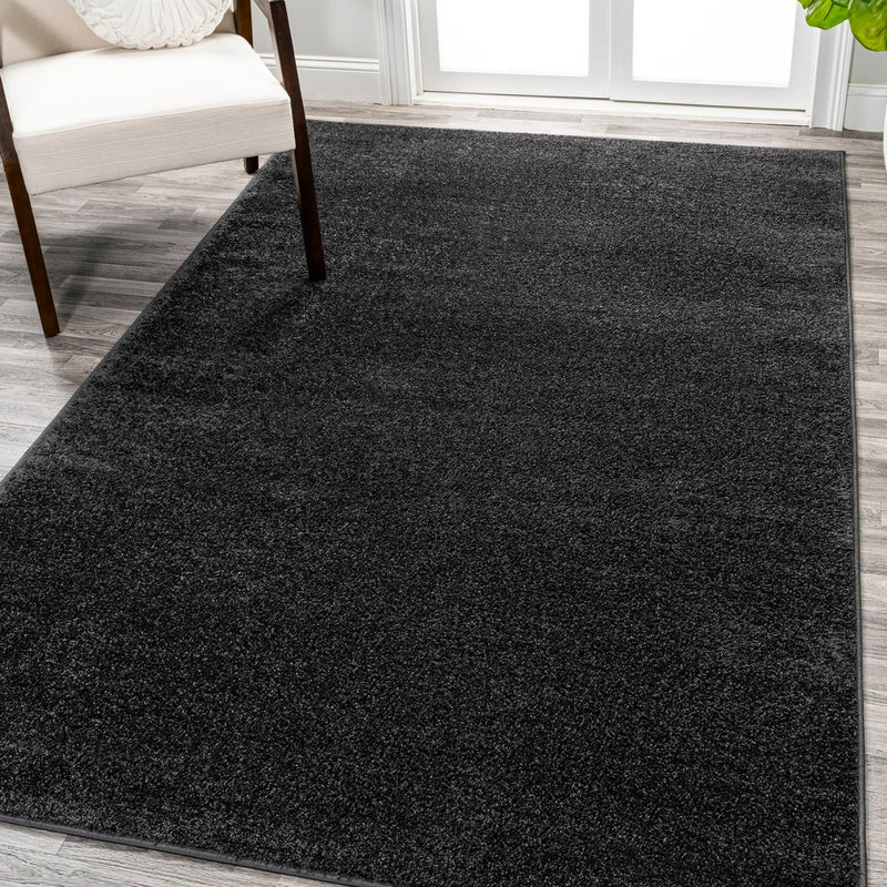 Haze Solid Low-pile Area Rug Black