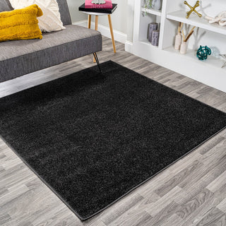 Haze Solid Low-pile Area Rug Black