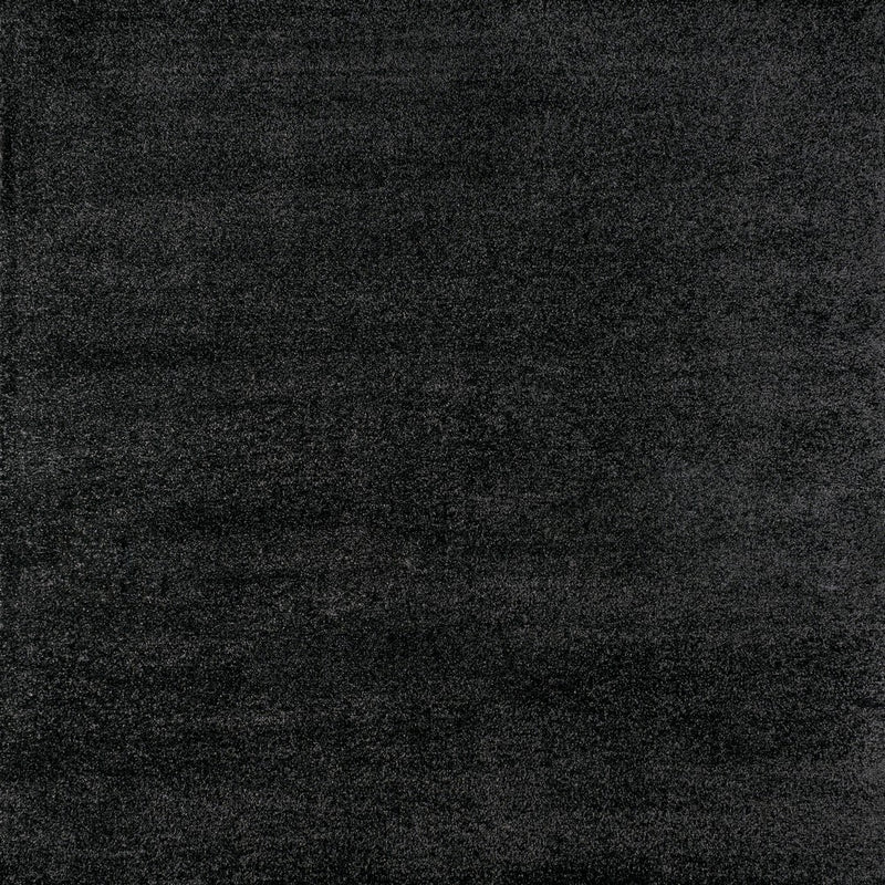 Haze Solid Low-pile Area Rug Black