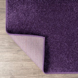Haze Solid Low-pile Area Rug Purple