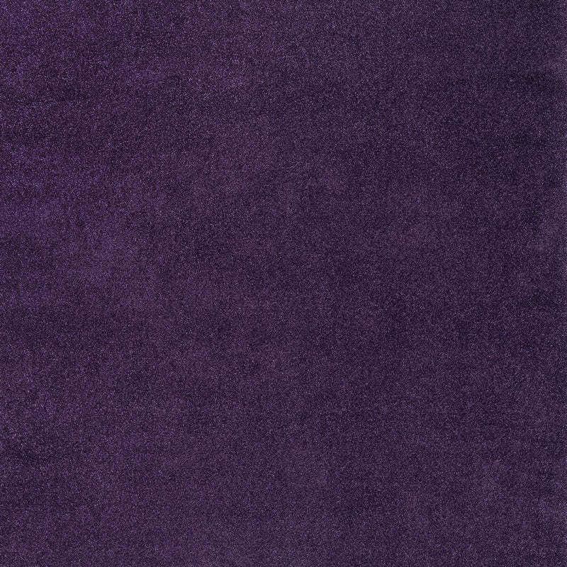 Haze Solid Low-pile Area Rug Purple