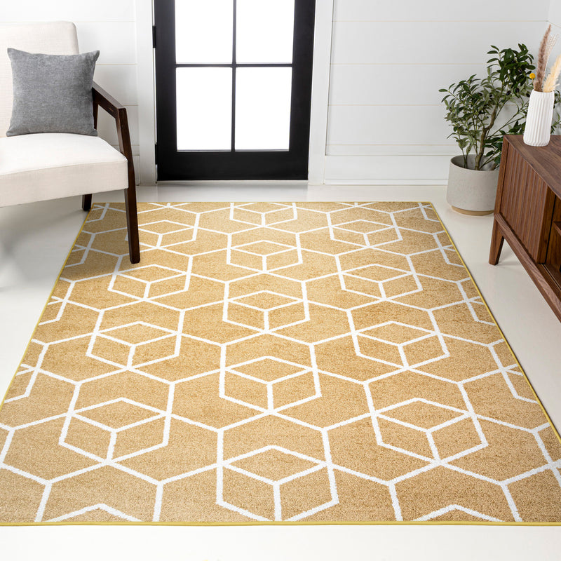Tumbling Blocks Modern Geometric Area Rug 2