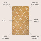 Cole Minimalist Diamond Trellis Area Rug