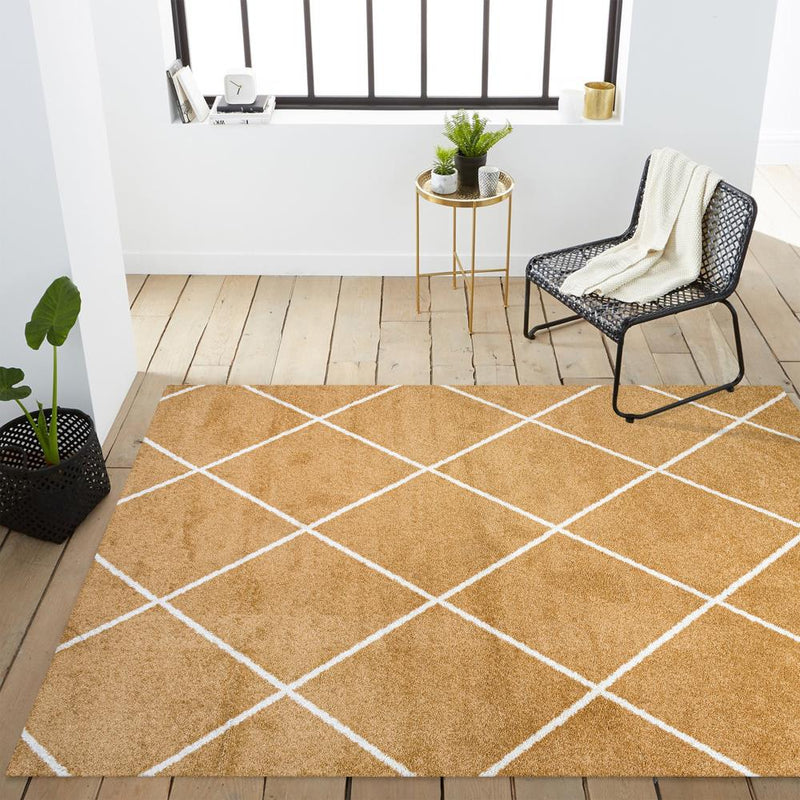 Cole Minimalist Diamond Trellis Area Rug