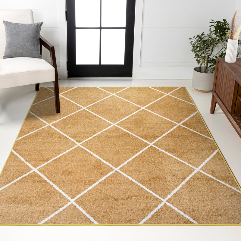 Cole Minimalist Diamond Trellis Area Rug