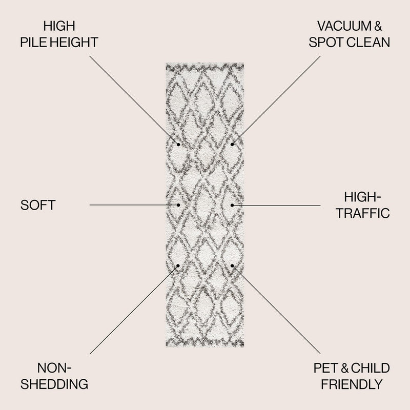 Soller Diamond Trellis Shag Area Rug