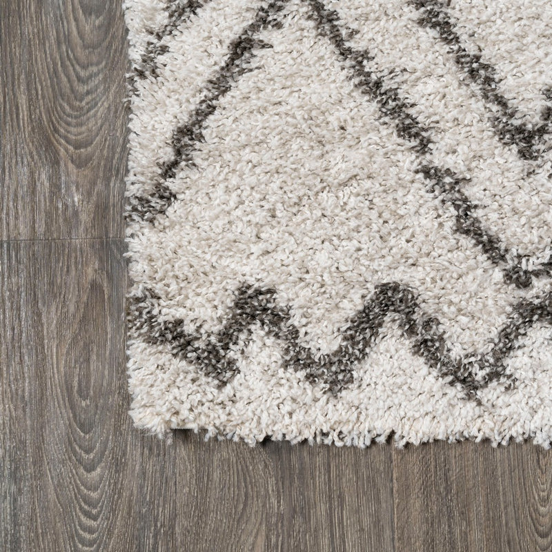Soller Diamond Trellis Shag Area Rug