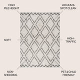 Soller Diamond Trellis Shag Area Rug