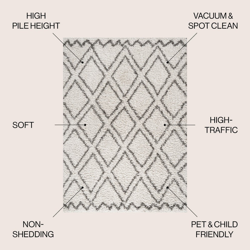 Soller Diamond Trellis Shag Area Rug