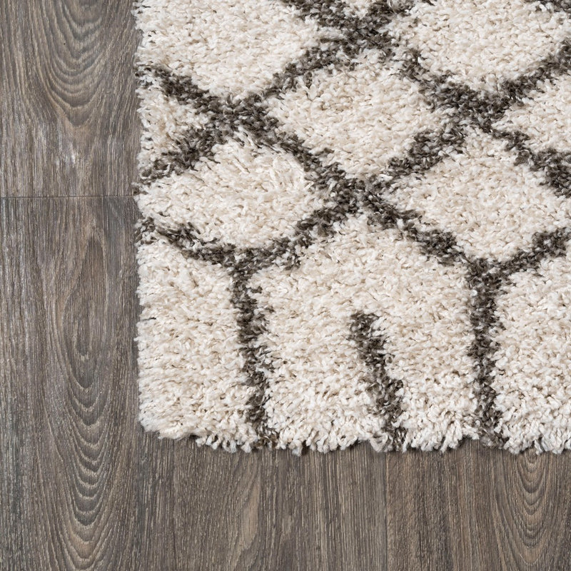 Algaida Moroccan Diamond Shag Area Rug