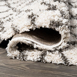 Algaida Moroccan Diamond Shag Area Rug