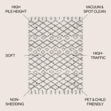 Algaida Moroccan Diamond Shag Area Rug