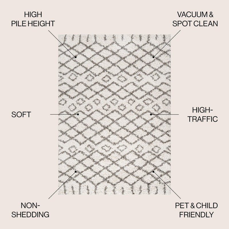 Algaida Moroccan Diamond Shag Area Rug