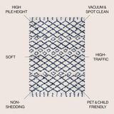 Algaida Moroccan Diamond Shag Area Rug