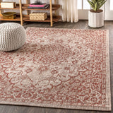 Rozetta Boho Medallion Textured Weave Indoor/outdoor Area Rug