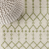 Ourika Moroccan Geometric Textured Weave Indoor/outdoor Runner Rug Cream/Green / Runner / 2'2" X 8' – DETAIL