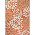 Orange/Cream