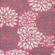 Fuchsia/Light Gray
