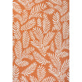 Orange/Cream