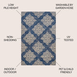 Tuscany Ornate Medallions Indoor/outdoor Area Rug