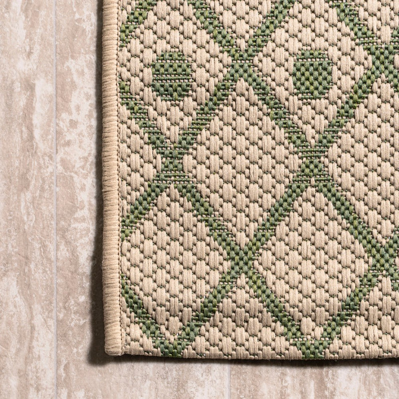 Boho Moroccan Indoor/outdoor Area Rug