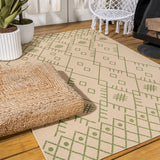Boho Moroccan Indoor/outdoor Area Rug