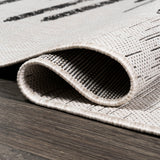 Zolak Berber Stripe Geometric Area Rug