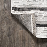 Colonia Berber Stripe Indoor/outdoor Area Rug