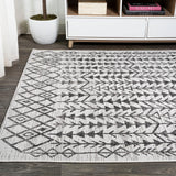 Tokay Bohemian Geometric Indoor/outdoor Area Rug