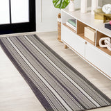 Haynes Modern Double Stripe Indoor/outdoor Area Rug
