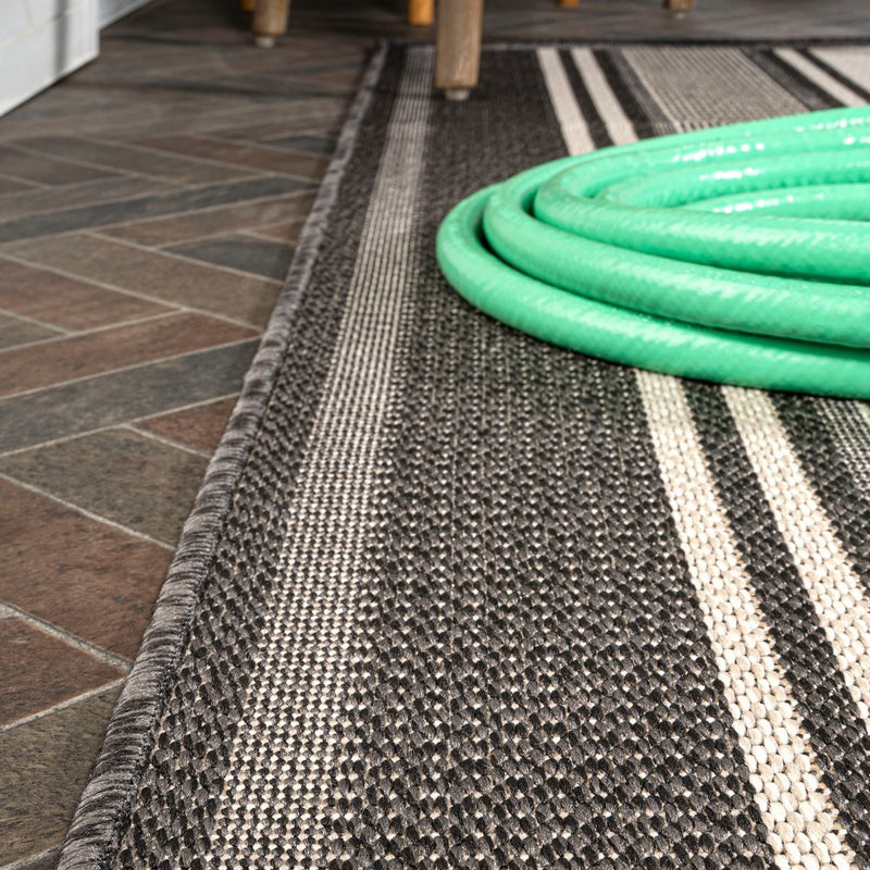 Haynes Modern Double Stripe Indoor/outdoor Area Rug