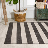 Negril Two-tone Wide Stripe Indoor/outdoor Area Rug
