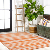 Castara Wavy Stripe Modern Indoor/outdoor Area Rug