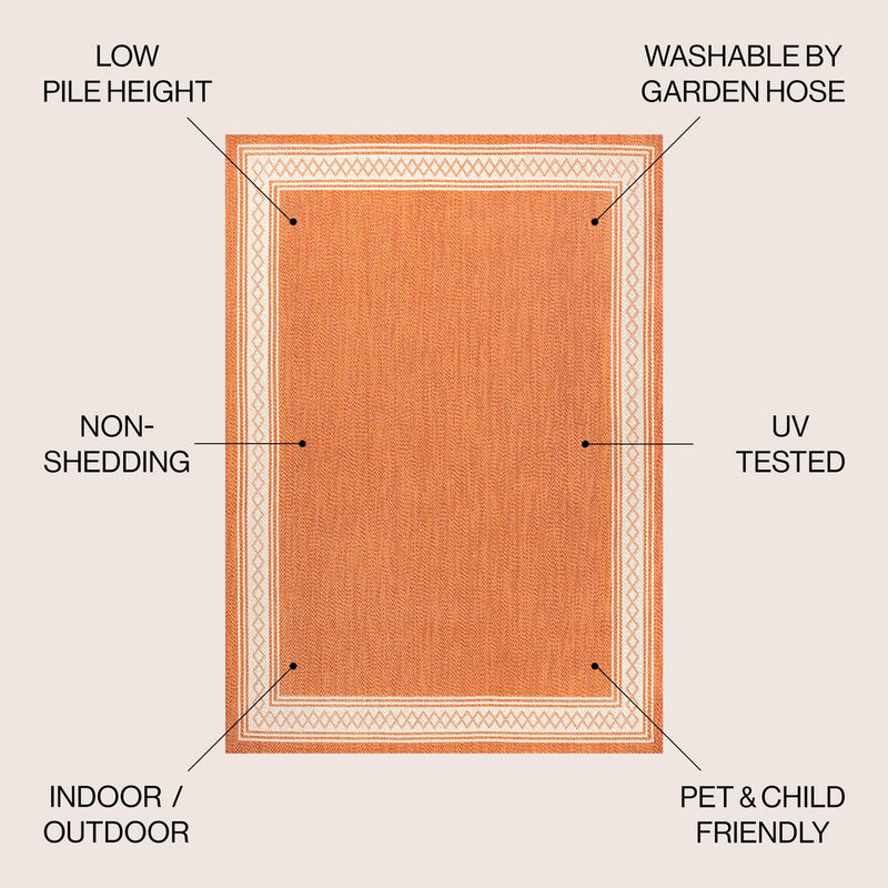 Lucia Classic Diamond Border Indoor/outdoor Area Rug