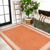 Lucia Classic Diamond Border Indoor/outdoor Area Rug