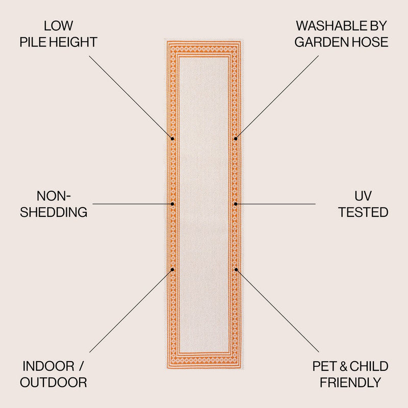 Lucia Classic Diamond Border Indoor/outdoor Area Rug
