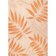 Cream/Orange