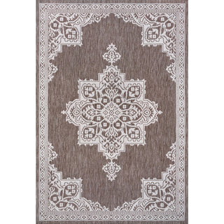 Arden Vintage Casual Medallion Indoor/Outdoor Area Rug