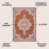 Arden Vintage Casual Medallion Indoor/Outdoor Area Rug