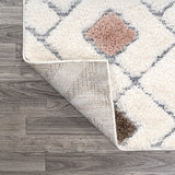 Astrid Retro Trellis High-low Area Rug