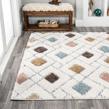 Astrid Retro Trellis High-low Area Rug